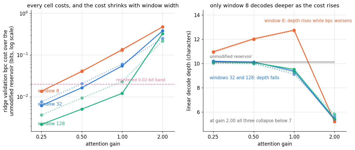 Two panels. Left: the ridge validation cost over the unmodified reservoir, on a logarithmic vertical axis, against attention gain, with one line per window width and a solid line for seed 0 and a dotted line for the replication seed. All twelve points are above zero cost; the window-8 line sits highest at every gain and the window-128 line lowest at every gain, and only the gentlest settings fall below a marked 0.02-bit band. Right: linear decode depth against gain. The window-8 line rises from about 11 to about 12.7 across the three smaller gains while the window-32 and window-128 lines rise marginally at most and then fall below the unmodified reservoir's level; at gain 2.00 all three lines collapse below 7.